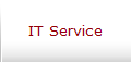 IT Service
